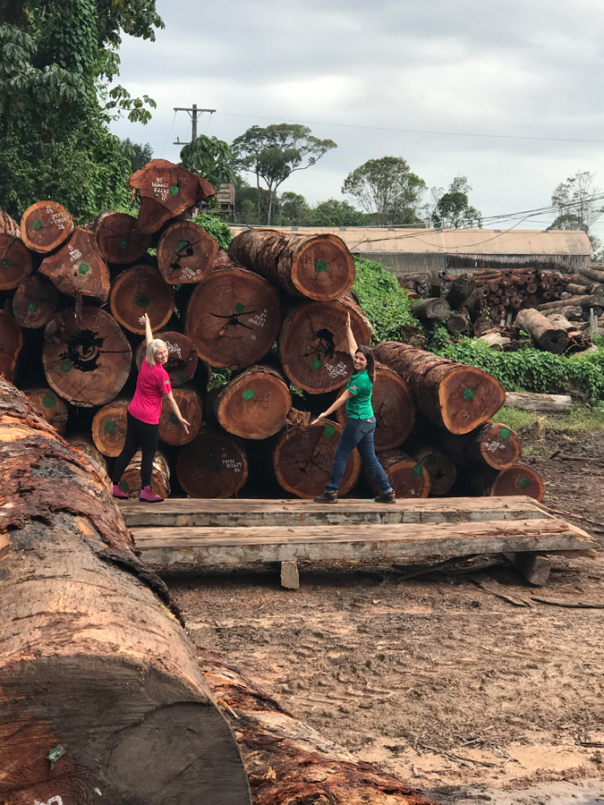 Lumber Queens Sawmill Advantage Florestal